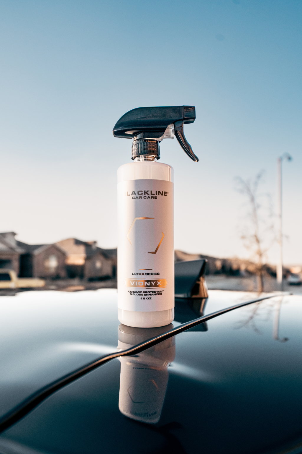 BLACKLINE VIONYX CERAMIC PROTECTANT product image 2
