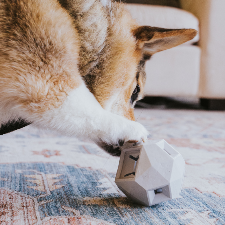 Odin Treat-Dispensing Dog Toy