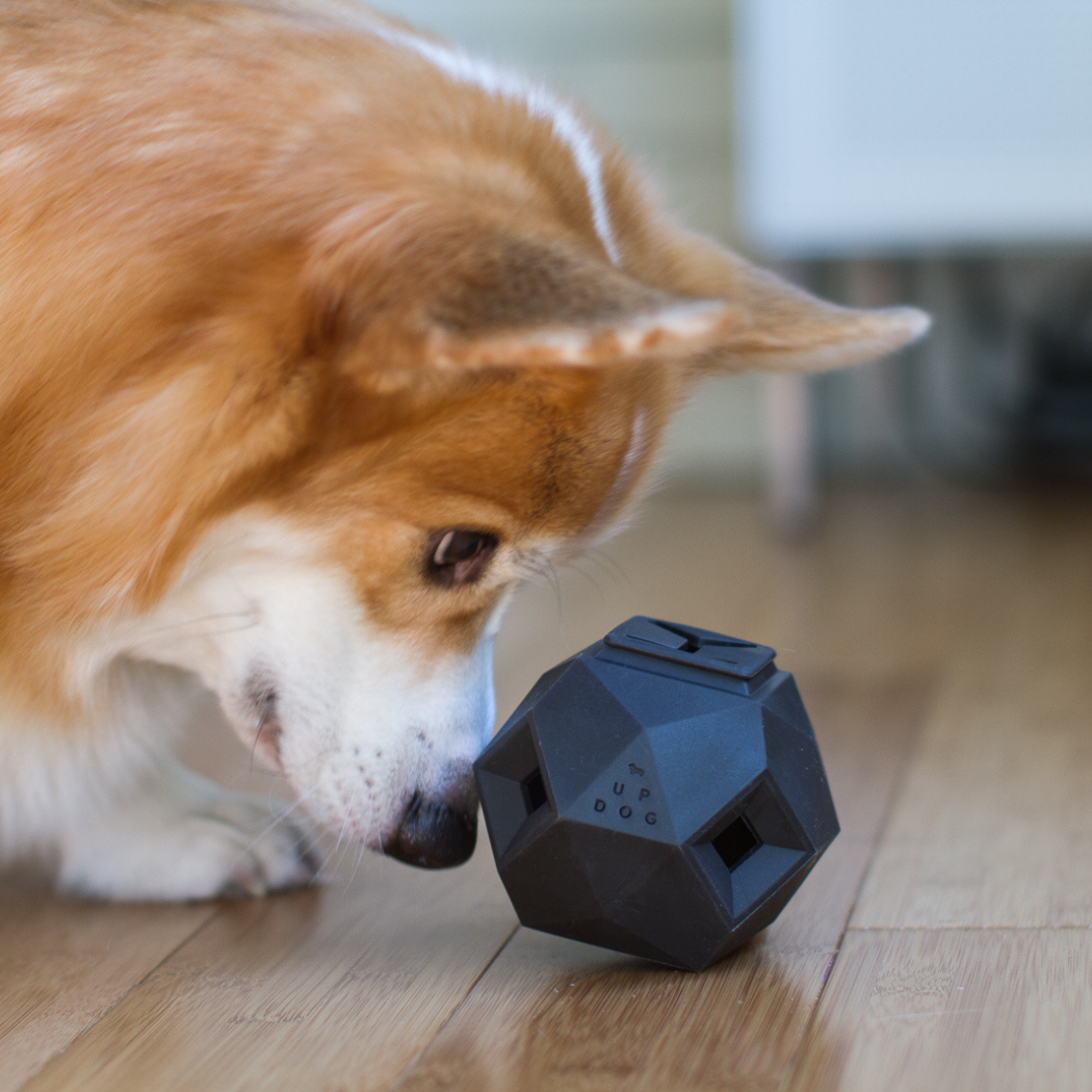 Odin Treat-Dispensing Dog Toy