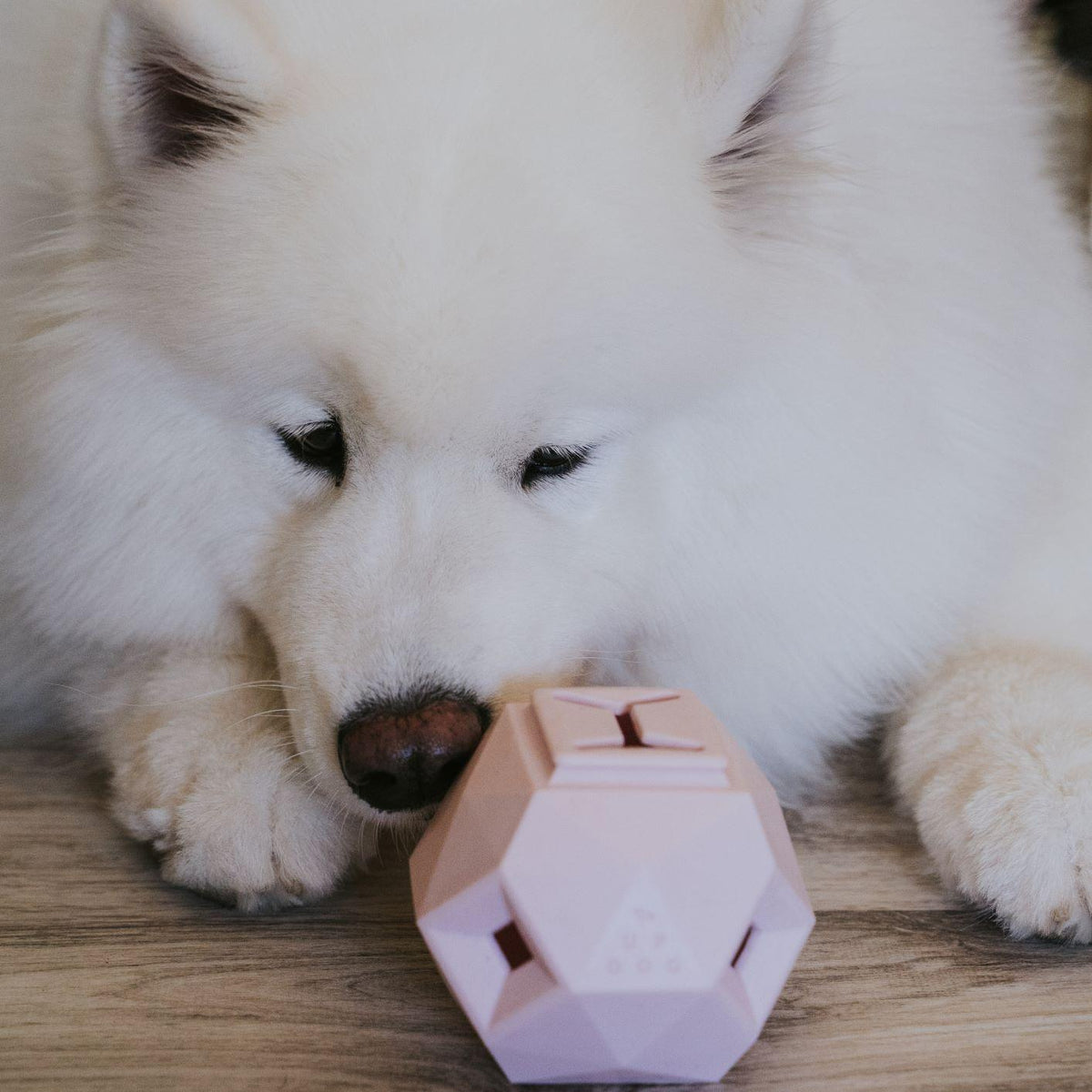 Odin Treat-Dispensing Dog Toy