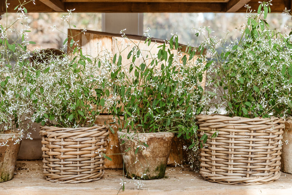 Rattan Flower Pot Basket with Plastic Liner