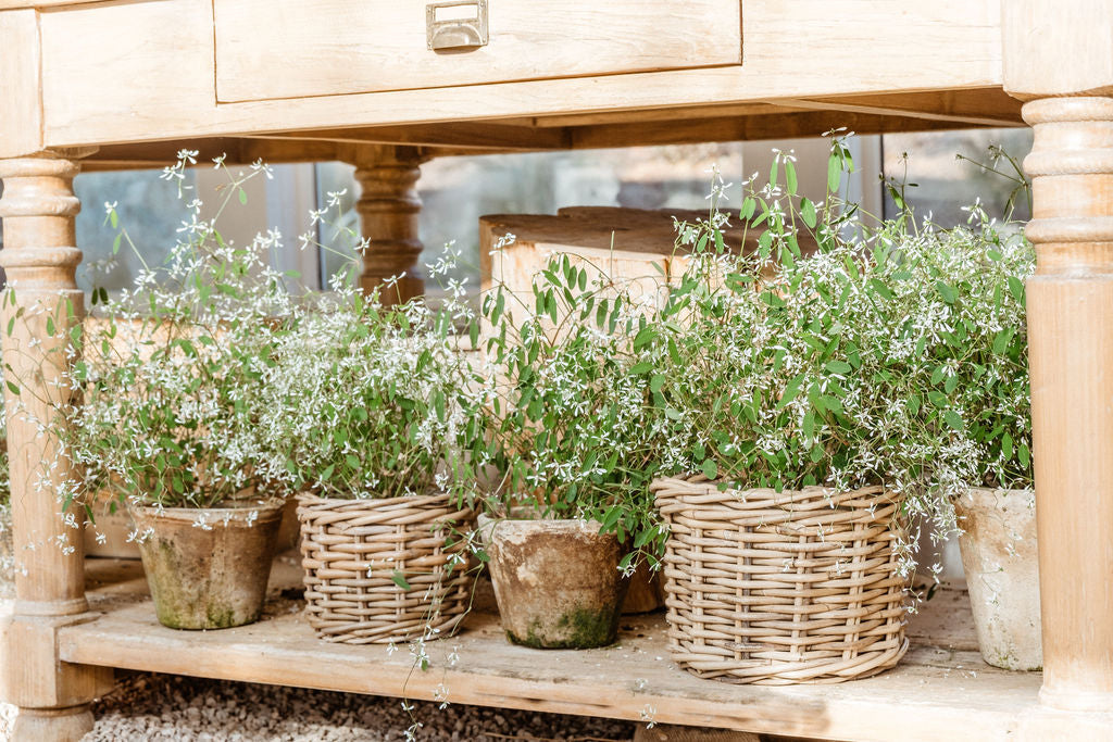 Rattan Flower Pot Basket with Plastic Liner