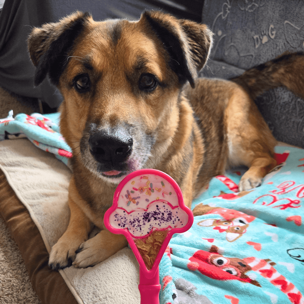 Lick Sticks Interactive Dog Enrichment Toy