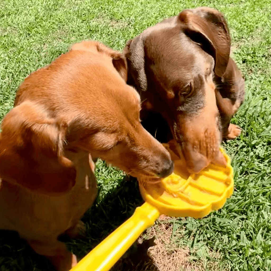 Lick Sticks Interactive Dog Enrichment Toy