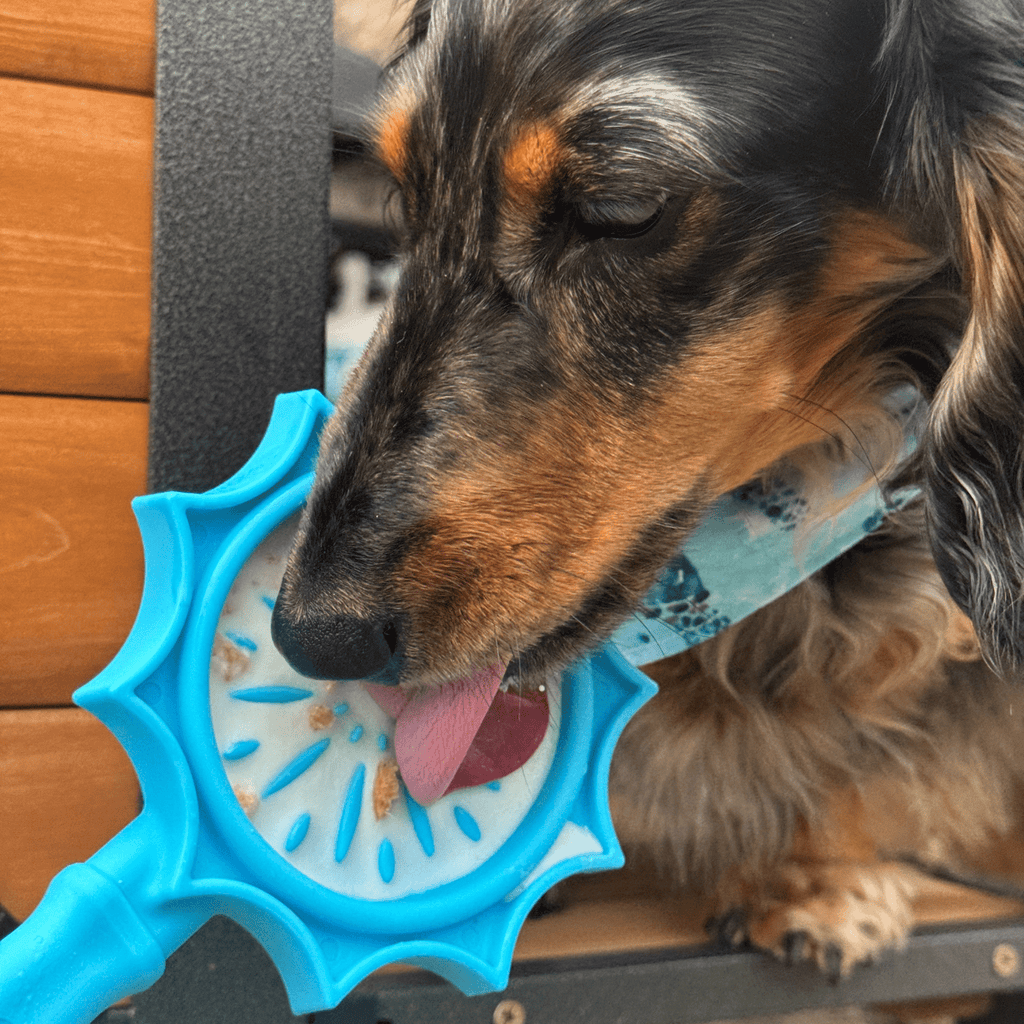 Lick Sticks Interactive Dog Enrichment Toy