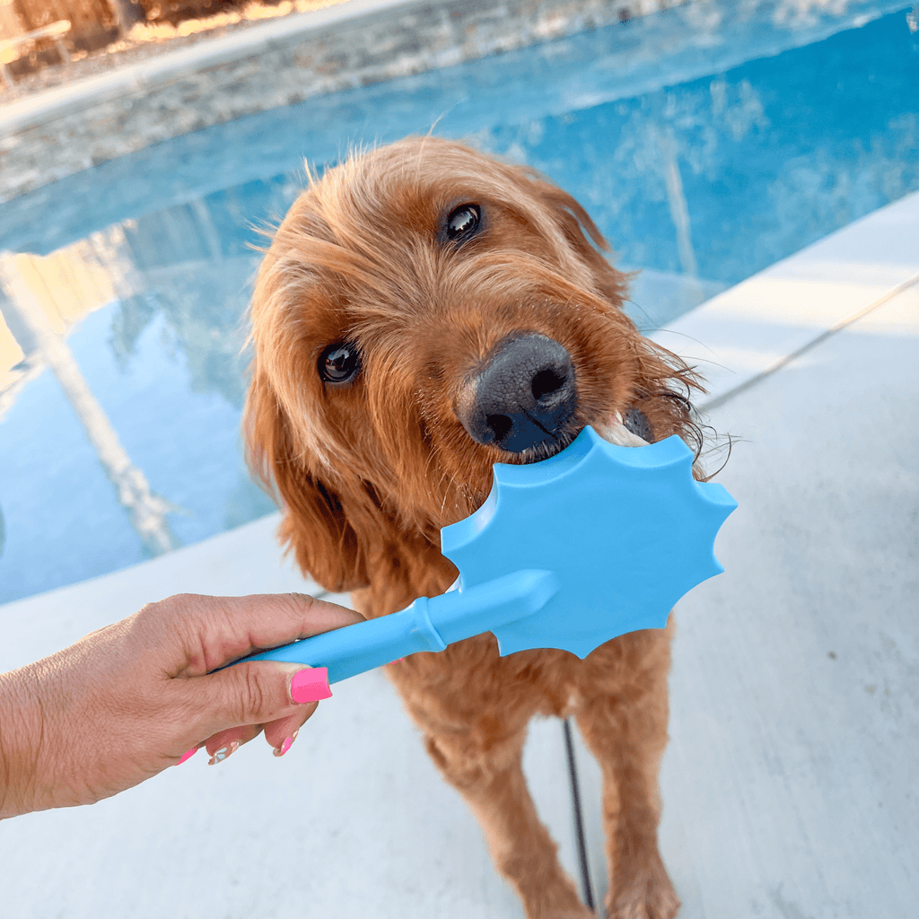 Lick Sticks Interactive Dog Enrichment Toy