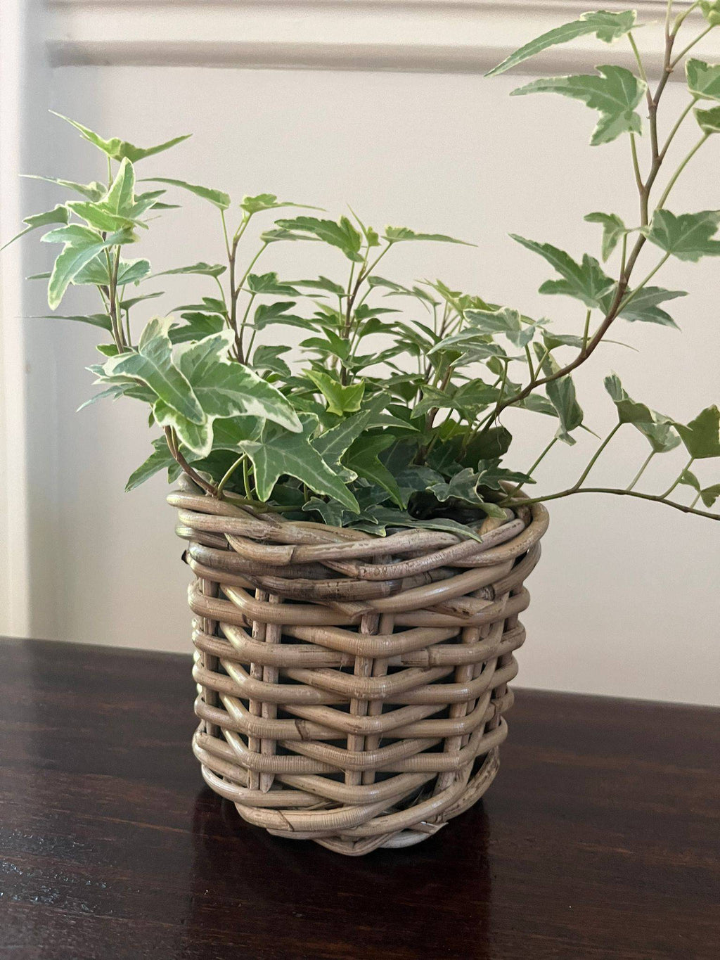 Rattan Flower Pot Basket with Plastic Liner