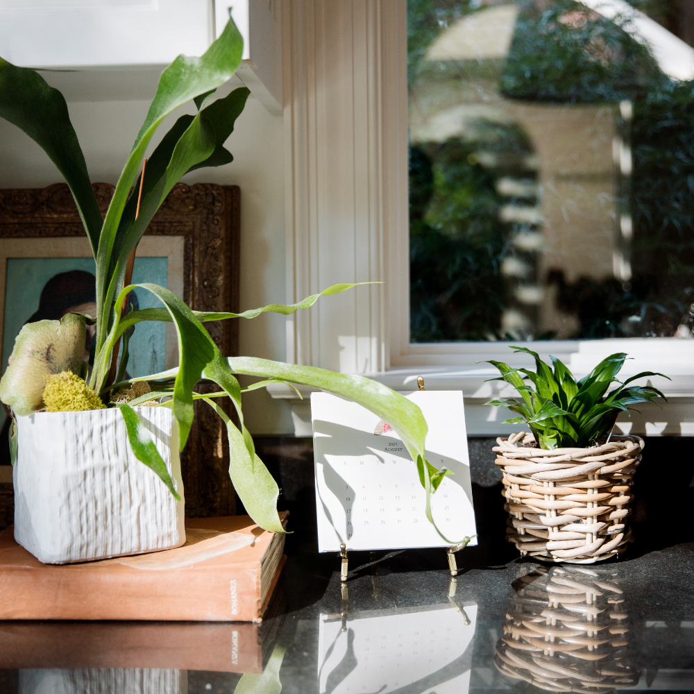 Rattan Flower Pot Basket with Plastic Liner