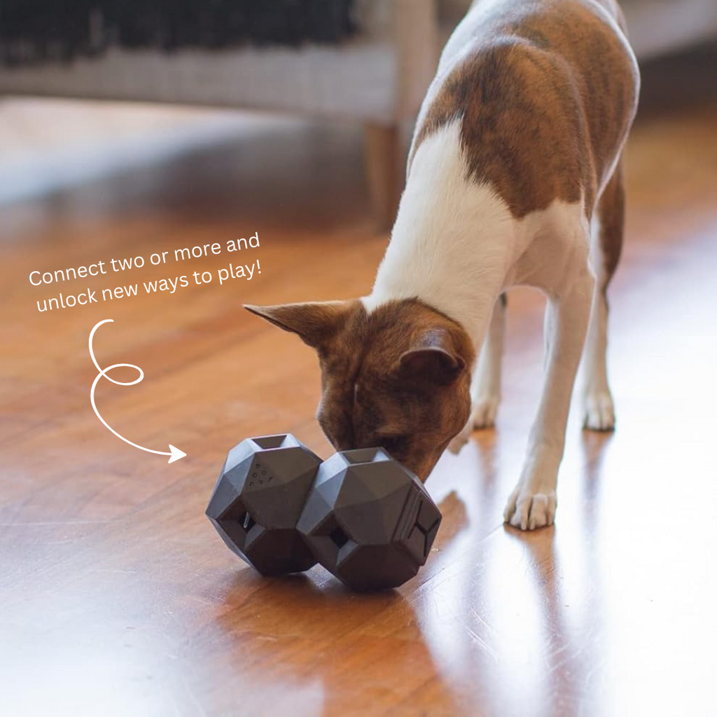 Odin Treat-Dispensing Dog Toy