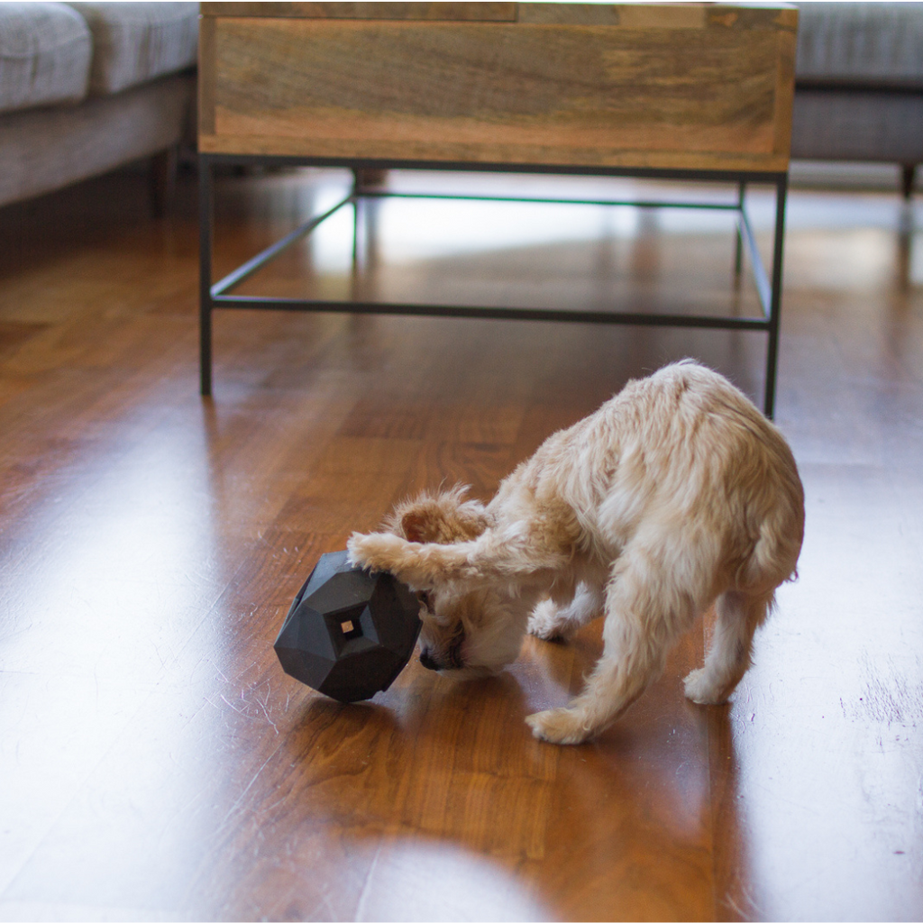 Odin Treat-Dispensing Dog Toy