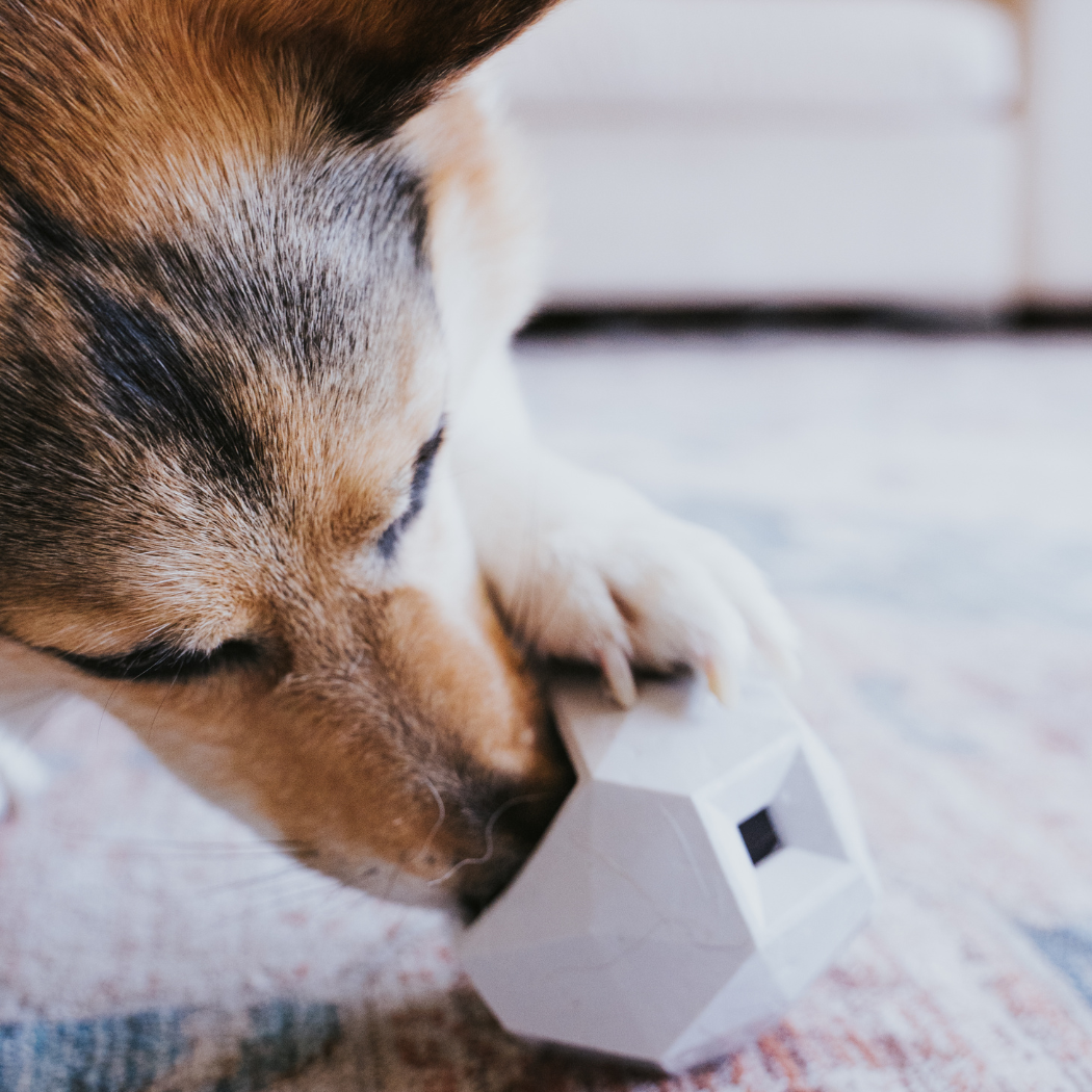 Odin Treat-Dispensing Dog Toy