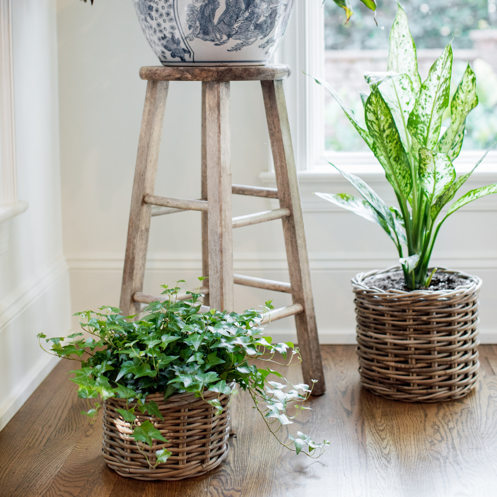 Rattan Flower Pot Basket with Plastic Liner